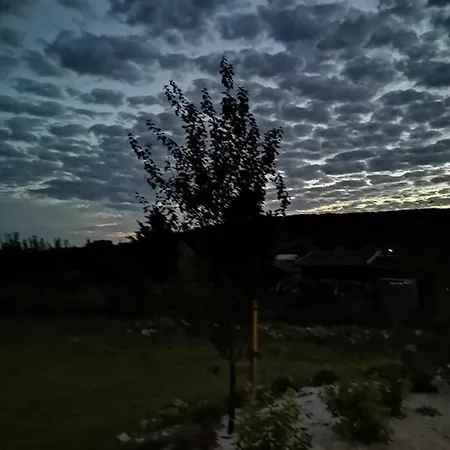 Vadkert Vendeghaz Apartment Dorgicse