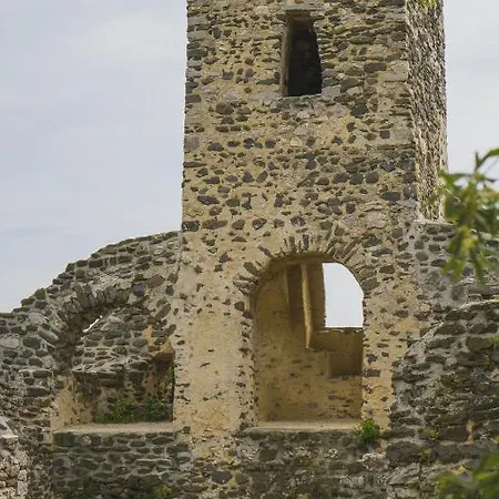 Vadkert *