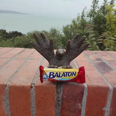 Vadkert Vendeghaz Apartment