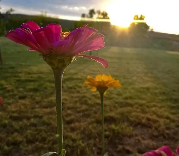 Vadkert Vendeghaz * Dörgicse